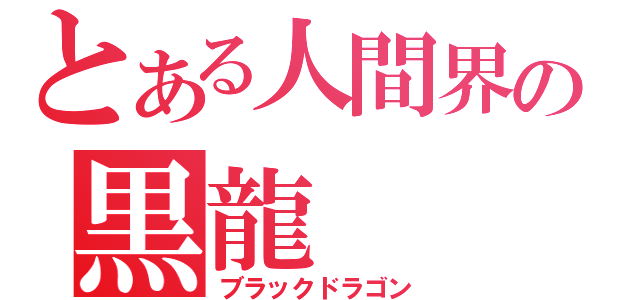 とある人間界の黒龍（ブラックドラゴン）