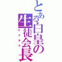 とある白皇の生徒会長（ヒナギク）