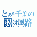 とある千葉の弱対風路線（京葉線）