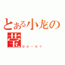 とある小龙の莹寶寶（爱妳一辈子）