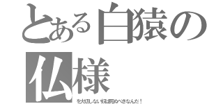 とある白猿の仏様（を大切しない奴は死ぬべきなんだ！）