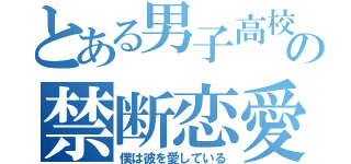 とある男子高校生の禁断恋愛（僕は彼を愛している）