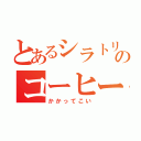 とあるシラトリのコーヒーライフ（かかってこい）