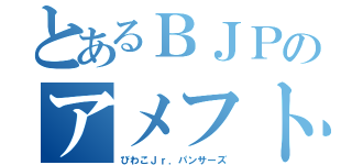 とあるＢＪＰのアメフト魂（びわこＪｒ．パンサーズ）