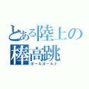 とある陸上の棒高跳（ポールボールト）