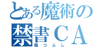 とある魔術の禁書ＣＡＳ（暇つぶし）