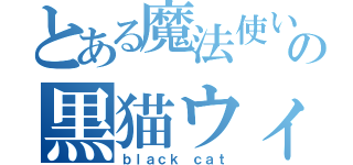 とある魔法使いの黒猫ウィズ（ｂｌａｃｋ ｃａｔ）