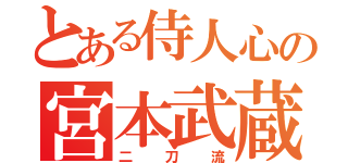 とある侍人心の宮本武蔵（二刀流）