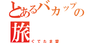 とあるバカップルの旅（ぐでたま愛）