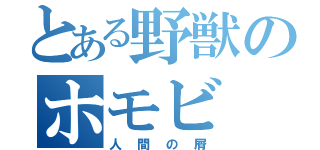 とある野獣のホモビ（人間の屑）