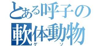 とある呼子の軟体動物（ゲソ）