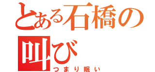 とある石橋の叫び（つまり眠い）