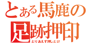 とある馬鹿の足跡押印（とりあえず押しとけ）