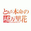 とある本命の橘万里花（たちばなまりか）