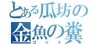 とある瓜坊の金魚の糞（ゴット）