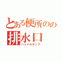 とある便所のの排水口（ハイドロポンプ）