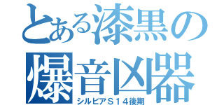 とある漆黒の爆音凶器（シルビアＳ１４後期）