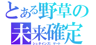 とある野草の未来確定（シュタインズ；ゲート）