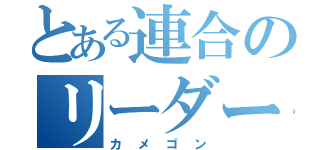 とある連合のリーダー（カメゴン）