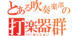 とある吹奏楽部の打楽器群（パーカッション）