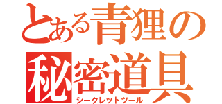 とある青狸の秘密道具（シークレットツール）