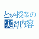 とある授業の実習内容（シラバス）