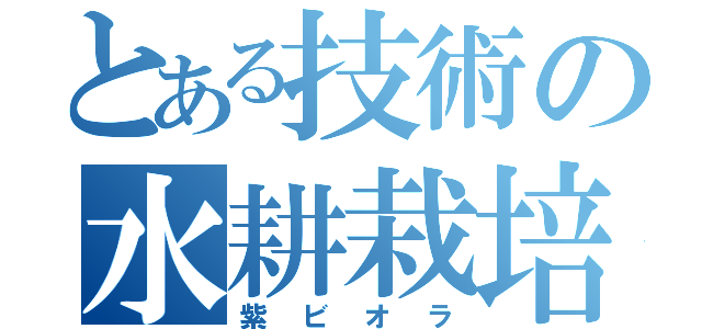 とある技術の水耕栽培（紫ビオラ）