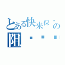 とある快来保卫人类の阻挡进击的墙吧（）