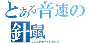 とある音速の針鼠（ソニックザヘッジホッグ）