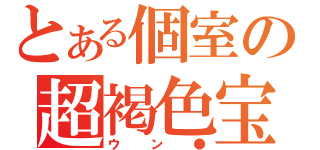 とある個室の超褐色宝（ウン●）