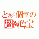 とある個室の超褐色宝（ウン●）