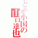 とある小国の山口達也（）