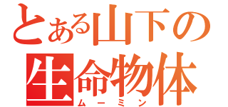 とある山下の生命物体（ムーミン）