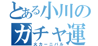 とある小川のガチャ運（火カーニバル）