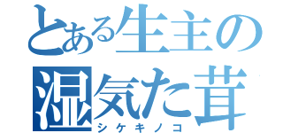 とある生主の湿気た茸（シケキノコ）