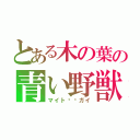 とある木の葉の青い野獣（マイト⚫︎ガイ）