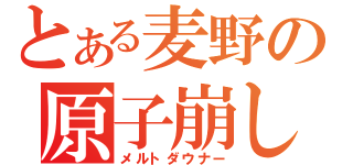 とある麦野の原子崩し（メルトダウナー）