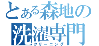 とある森地の洗濯専門店（クリーニング）