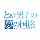 とある男子の夢の国旅（ディズニーシー）