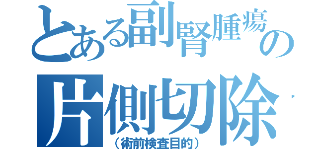 とある副腎腫瘍の片側切除（（術前検査目的））