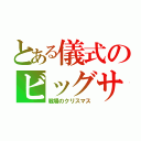 とある儀式のビッグサル（戦場のクリスマス）