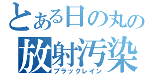 とある日の丸の放射汚染（ブラックレイン）