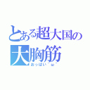 とある超大国の大胸筋（おっぱい＾ω＾）