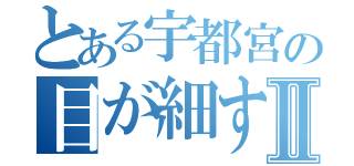 とある宇都宮の目が細すぎでアイプチで２重にⅡ（      ）