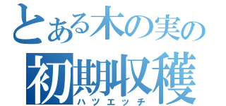 とある木の実の初期収穫（ハツエッチ）