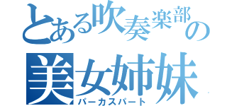 とある吹奏楽部の美女姉妹（パーカスパート）