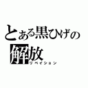 とある黒ひげの解放（リベイション）