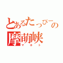 とあるたっぴーの摩萌峡（マホト）