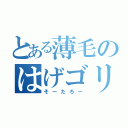 とある薄毛のはげゴリラ（そーたろー）