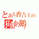 とある香吉士の狗企鵝（朋友）